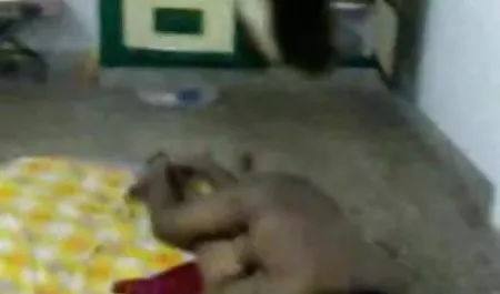 एक गर्म उभयलिंगी दृश्य में टेलर विक्सन और टेलर मद्रासी में सेक्सी फिल्म टिल्डेन