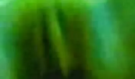 यूरोपीय हिंदी फीचर फिल्म सेक्सी वेश्या एशियाई वेश्या