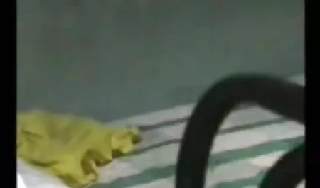 गैर-रूसी फूहड़ सेक्सी फिल्म वीडियो दे दो