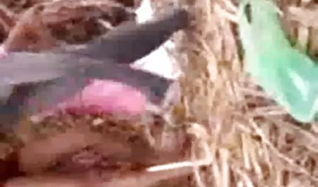 फर्श पर एक इंग्लिश फिल्म वीडियो सेक्सी साथ आ रहा है