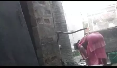 एक बड़े डिल्डो के साथ गर्म वीडियो वाला सेक्सी फिल्म गोरा फट गया