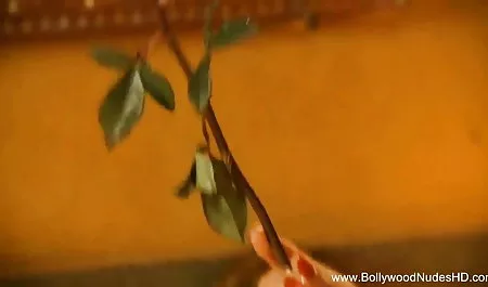 लेस्बियन सेक्स एड्रियाना सेपोरा बीपी सेक्स फिल्म और चेरी डेविल